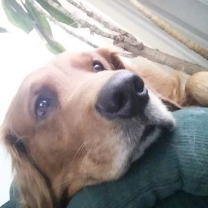 Meet your Posher, Nathan